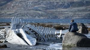 leviathan