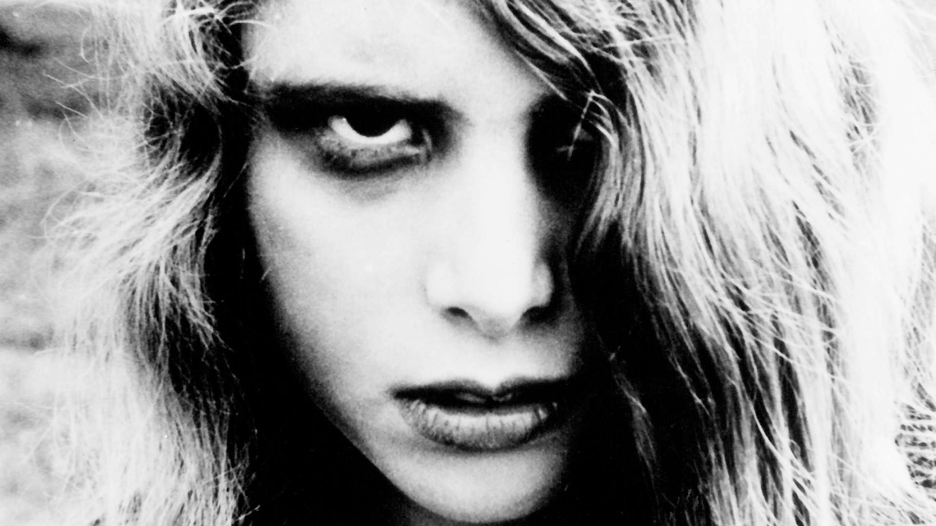 night-of-the-living-dead-zombie2