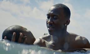 moonlight2