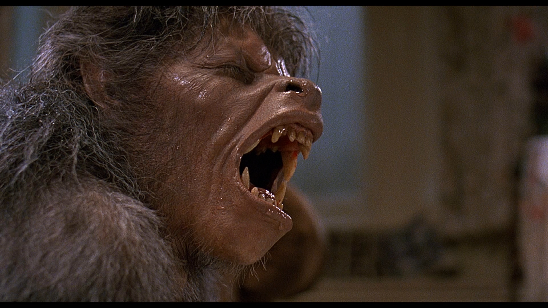 american werewolf2