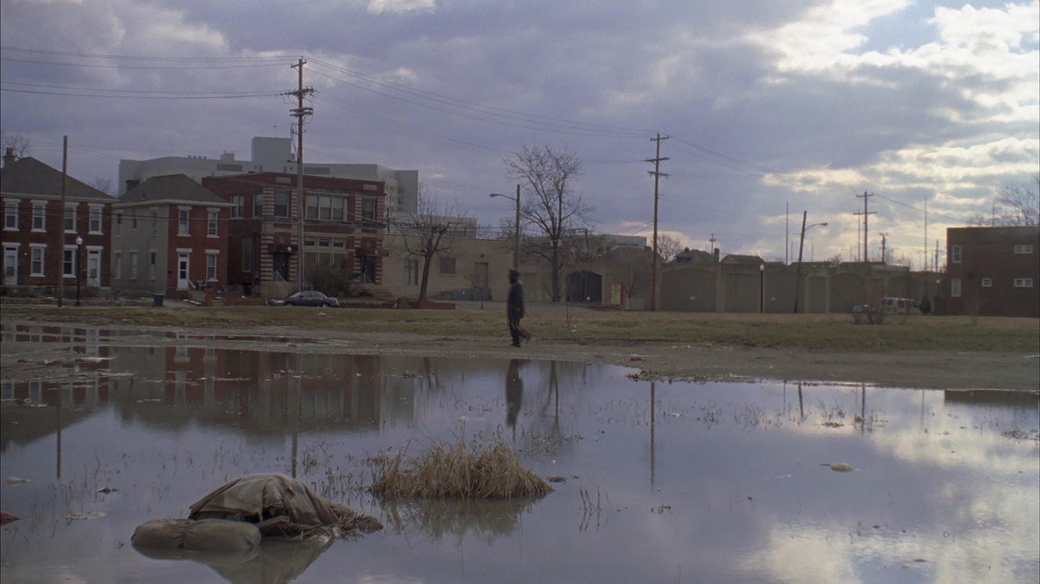 Lee Ann Schmitt's Purge This Land
