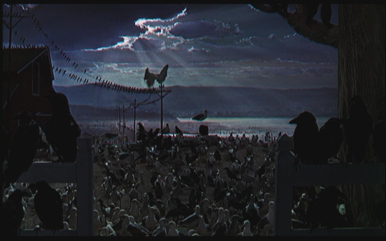 Hitchcock The Birds final shot
