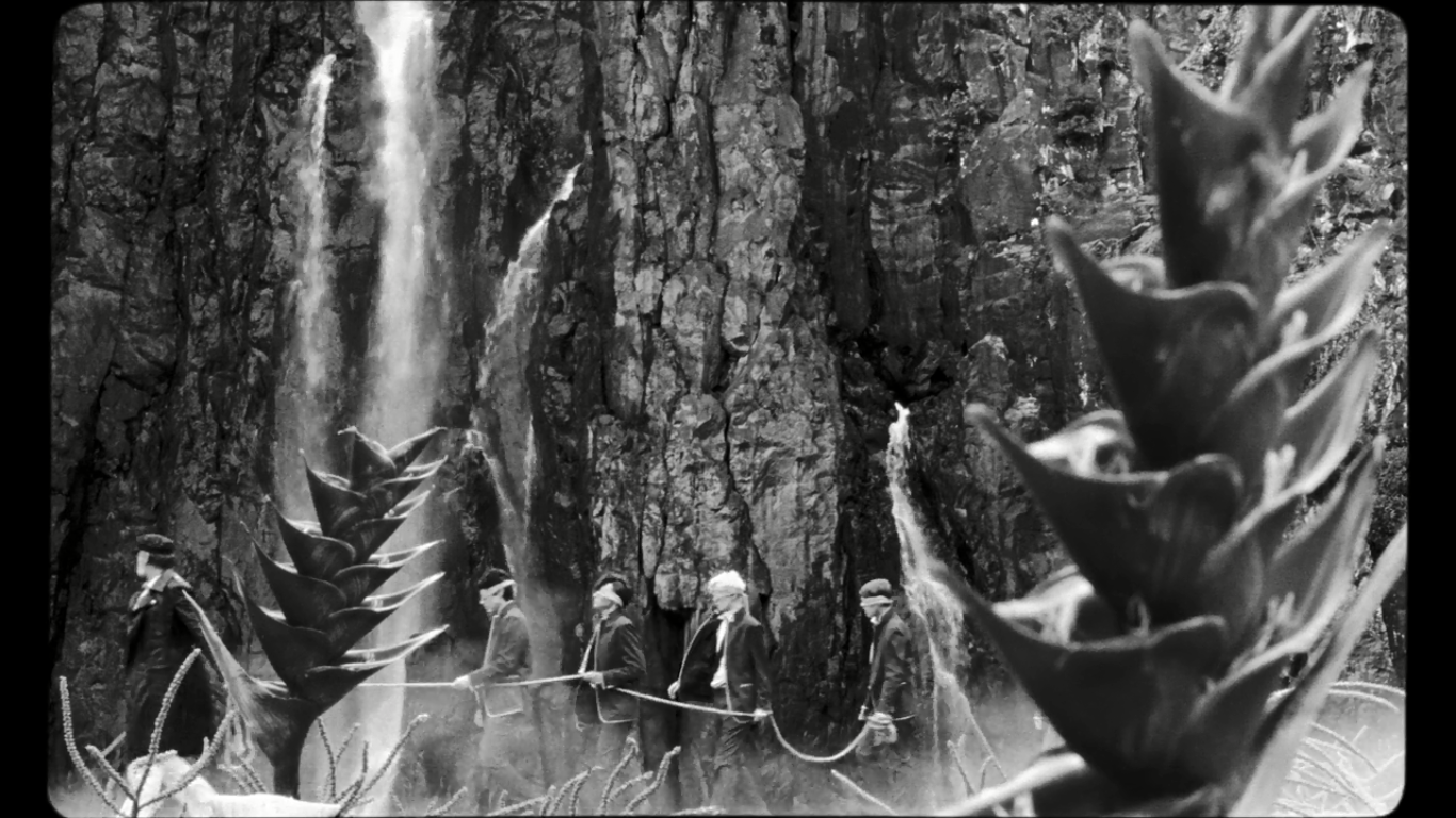 Wild Boys waterfall