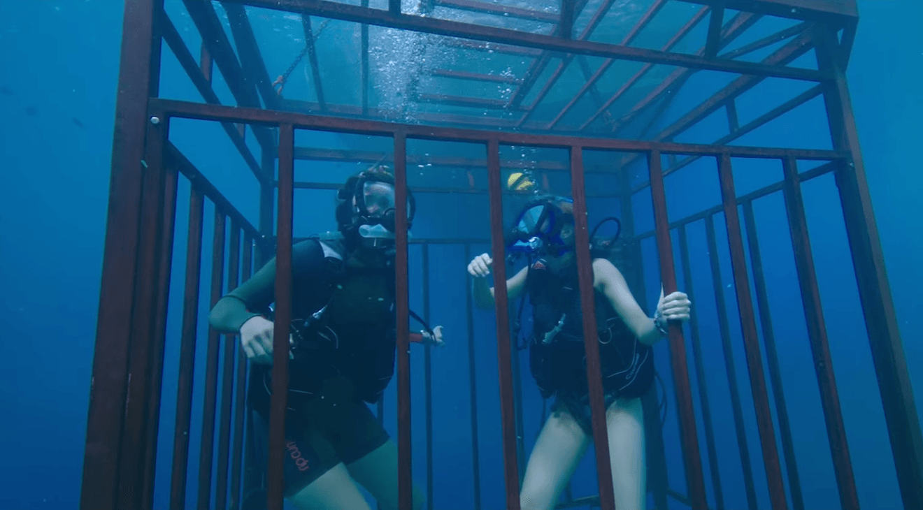 47 Meters Down Halloween 2018